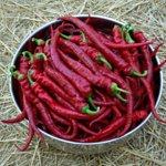 Seb's Wood-Fired Pizzas